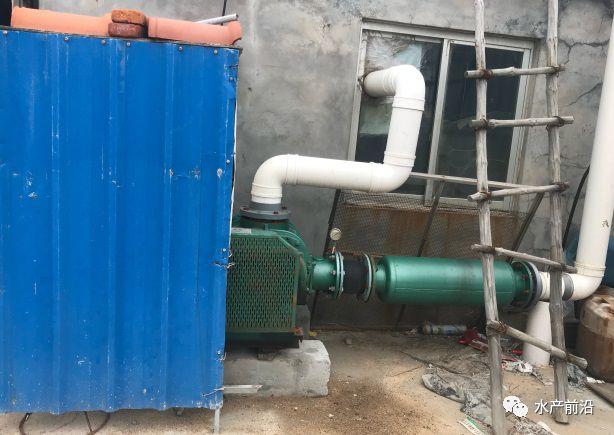 出蝦27斤/立方,連續三造成功后,工廠化養蝦在他看來并不難! 出蝦27斤/立方,連續三造成功后,工廠化養蝦在他看來并不難!